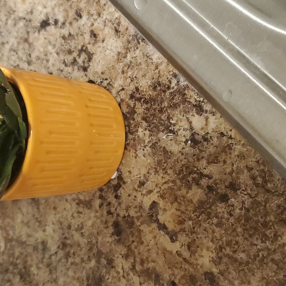 Orange plant holder